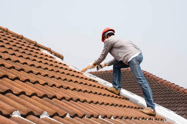 Best Skylight Installation and Repair  in Sand Point, AK